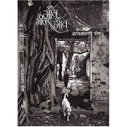 Gaon bhitar Gaon - Satyanarayan patel